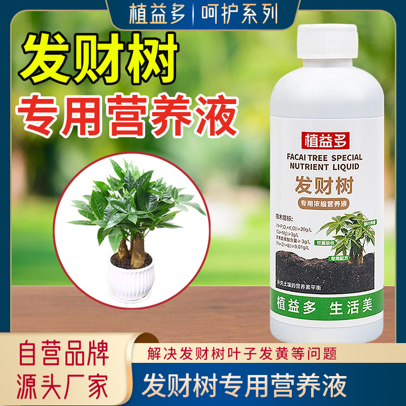 【植益多】發(fā)財(cái)樹(shù)專(zhuān)用濃縮營(yíng)養(yǎng)液